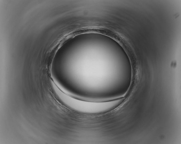 X0000111021161200906191645