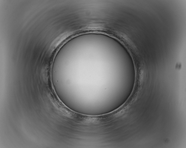 X0000111021162200906191645