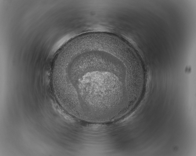 X0000111021163200906191645