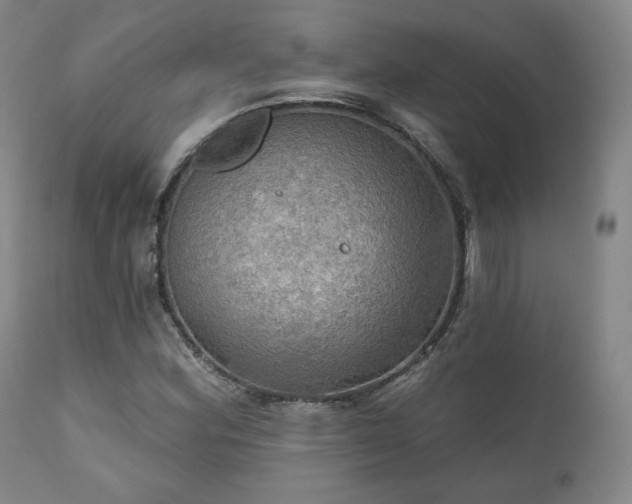 X0000111021164200906191645