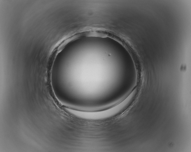 X0000111021165200906191645