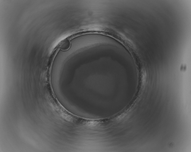X0000111021166200906191645