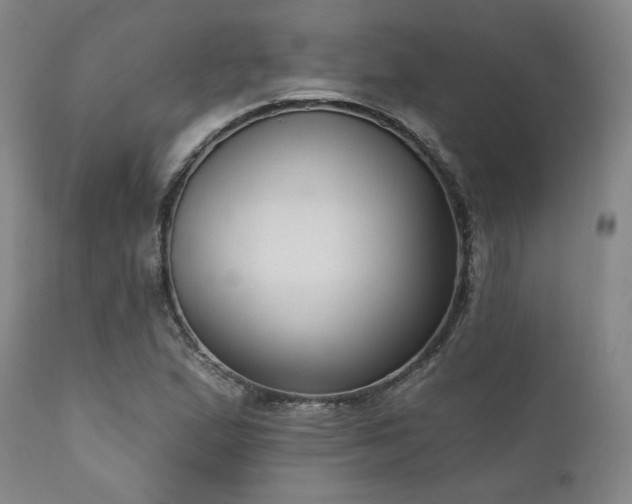 X0000111021167200906191645