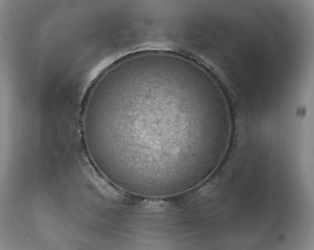 X0000111021168200906191645