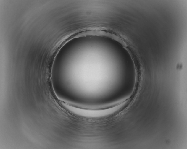 X0000111021169200906191645