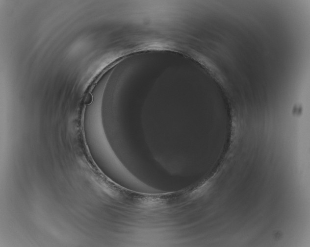 X0000111021170200906191645