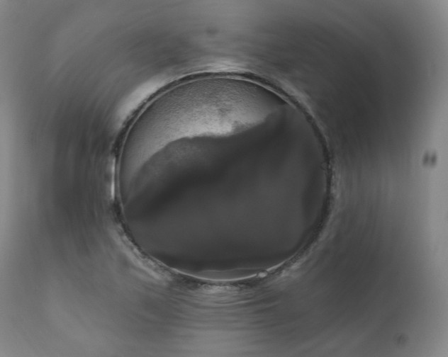 X0000111021171200906191645