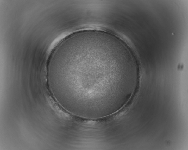 X0000111021172200906191645