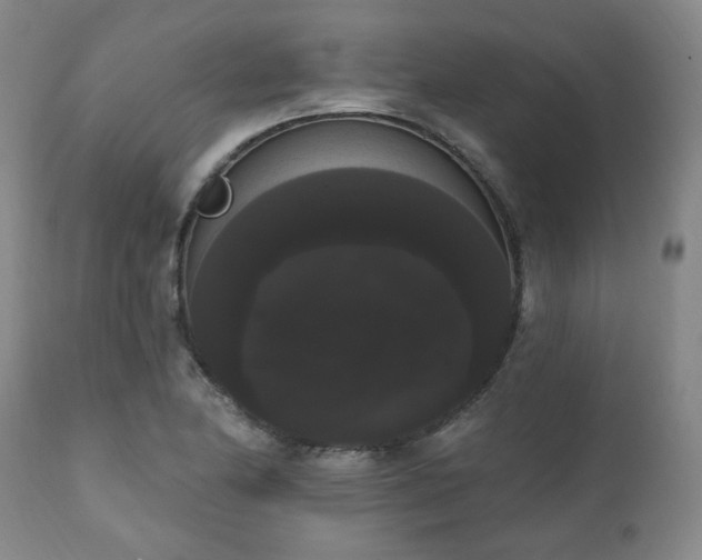 X0000111021174200906191645