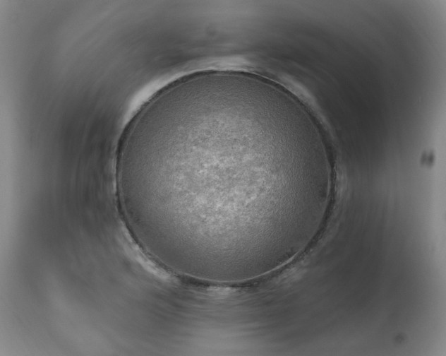 X0000111021176200906191645