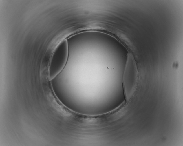 X0000111021177200906191645