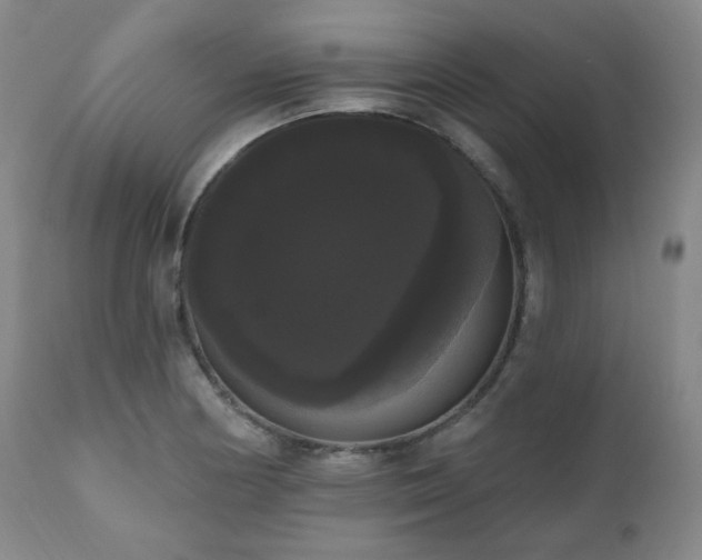 X0000111021178200906191645