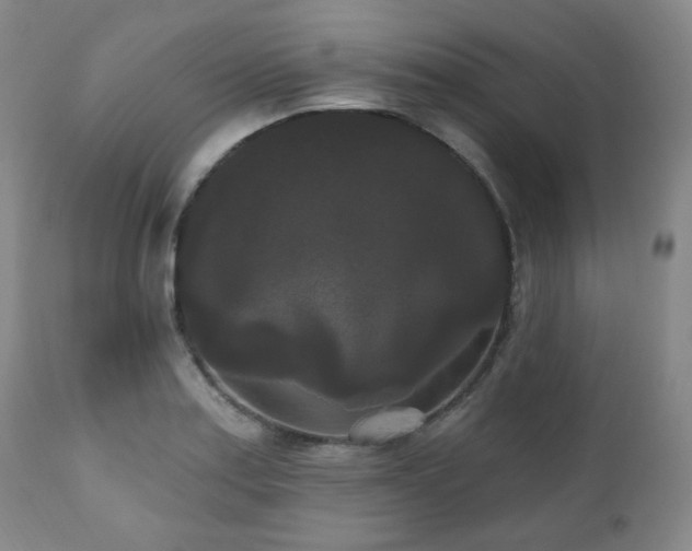 X0000111021179200906191645
