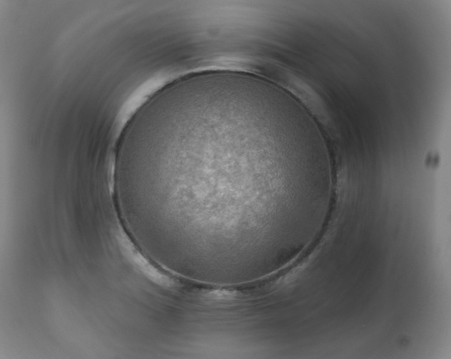X0000111021180200906191645