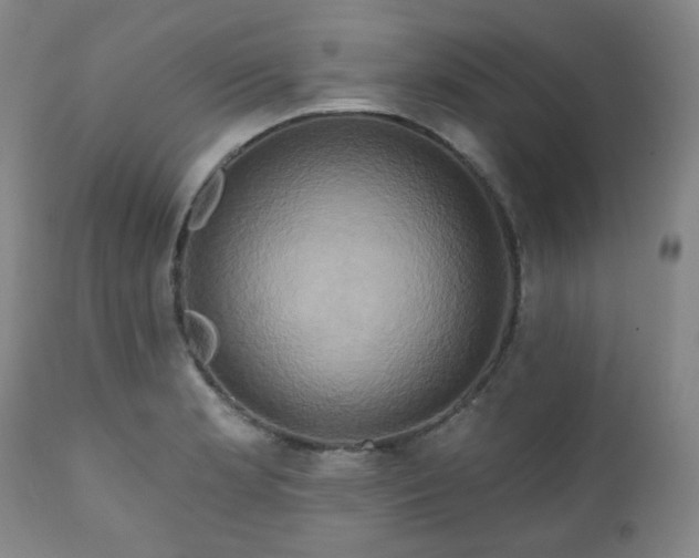X0000111021181200906191645