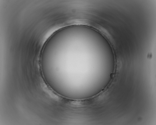 X0000111021182200906191645