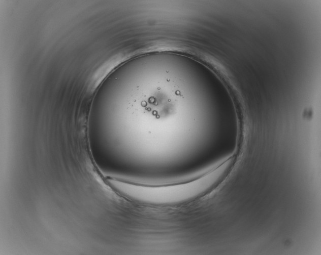 X0000111021185200906191645