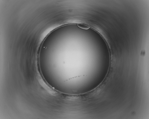 X0000111021187200906191645