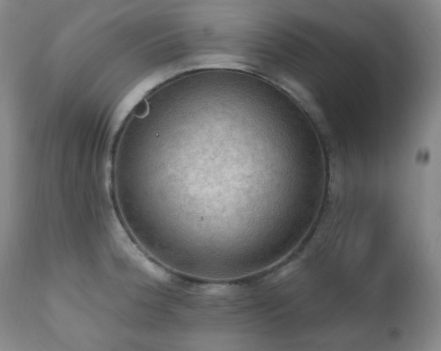 X0000111021188200906191645