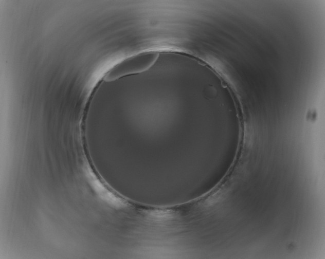 X0000111021189200906191645