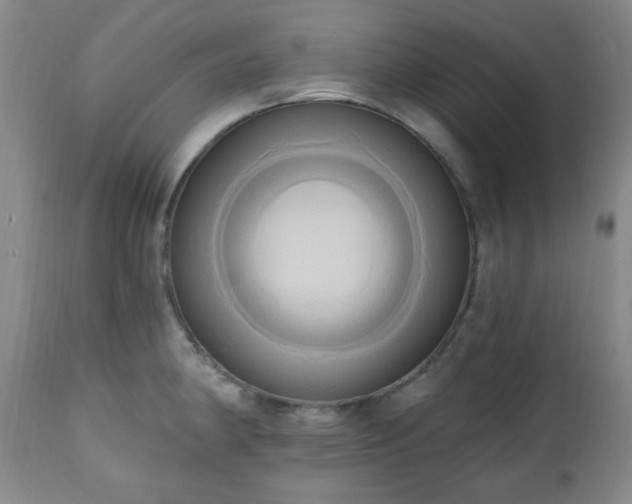 X0000111021190200906191645