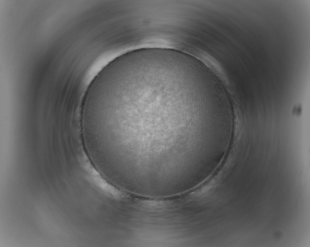 X0000111021192200906191645