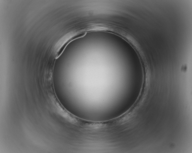 X0000111021193200906191645