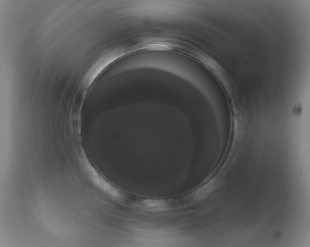 X0000111021194200906191645