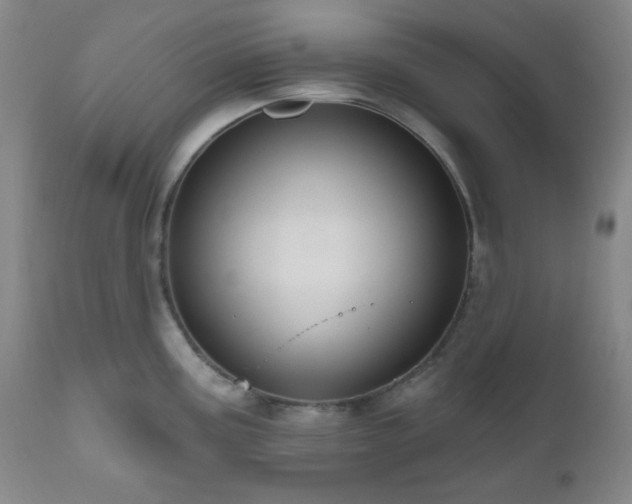 X0000111021195200906191645