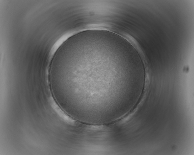 X0000111021196200906191645