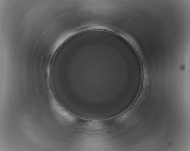 X0000111021198200906191645