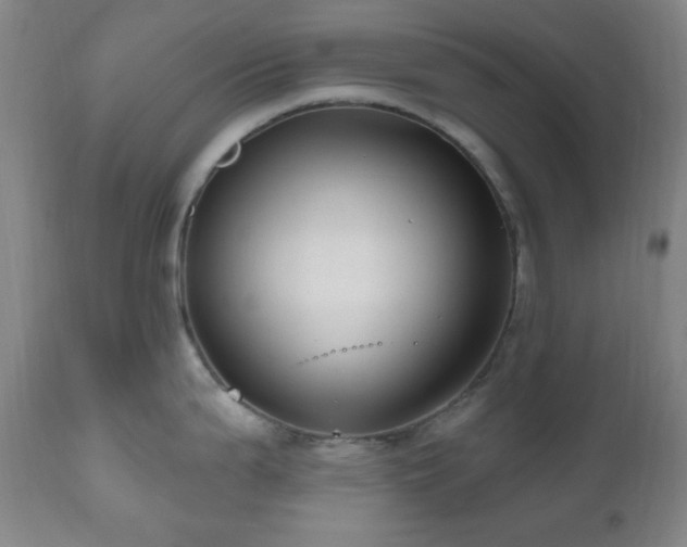 X0000111021199200906191645