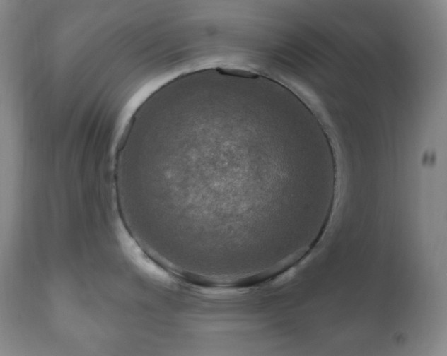 X0000111021200200906191645