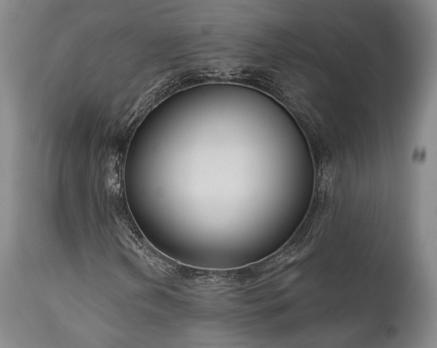 X0000111021202200906191644