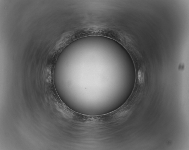 X0000111021203200906191644