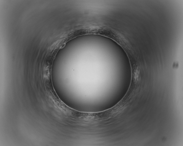 X0000111021204200906191644