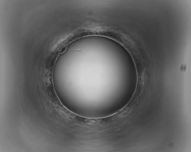 X0000111021205200906191644