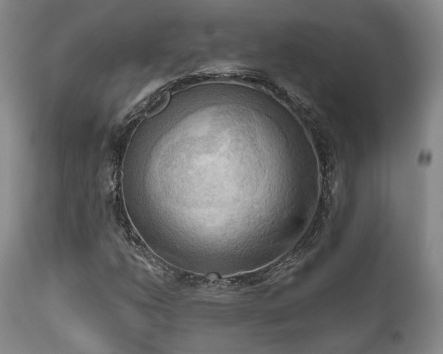 X0000111021206200906191644