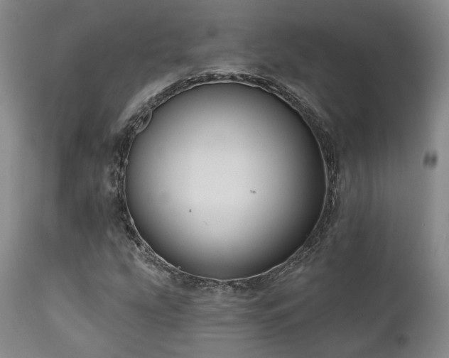 X0000111021207200906191644