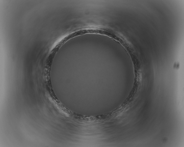 X0000111021208200906191644