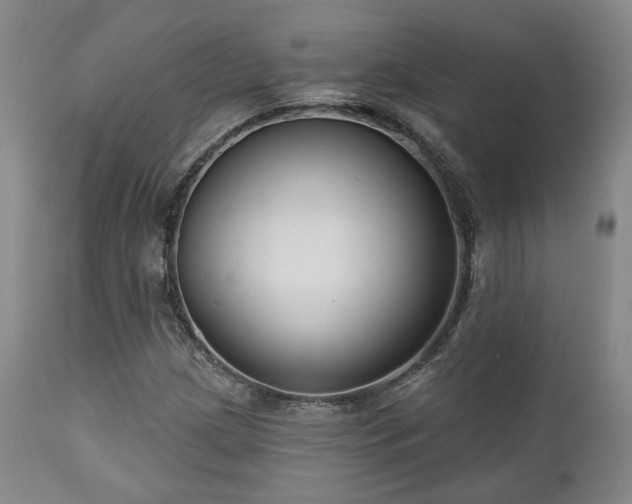 X0000111021209200906191644