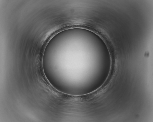 X0000111021210200906191644