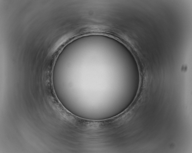 X0000111021211200906191644
