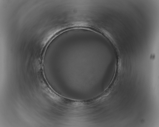 X0000111021212200906191644