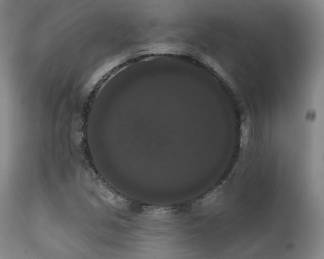 X0000111021213200906191644