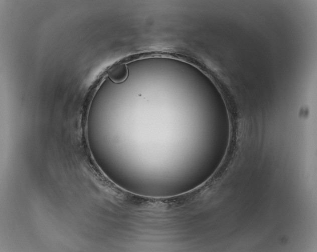 X0000111021214200906191644