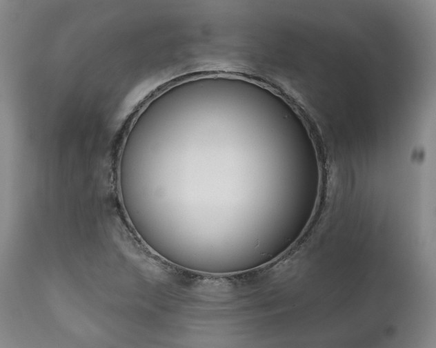 X0000111021215200906191644