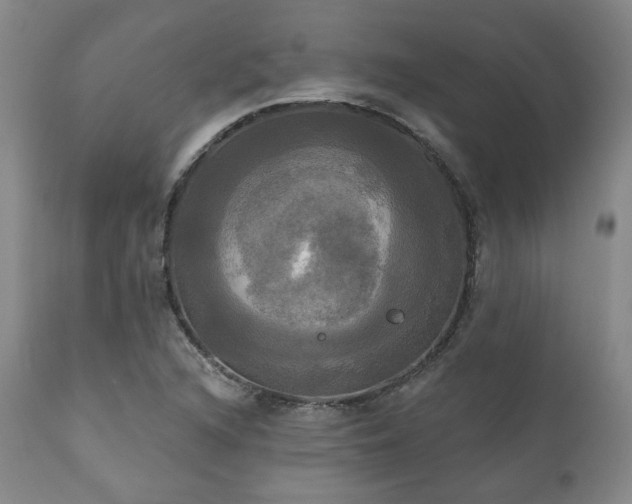 X0000111021216200906191644