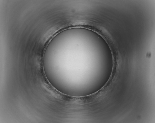 X0000111021217200906191644