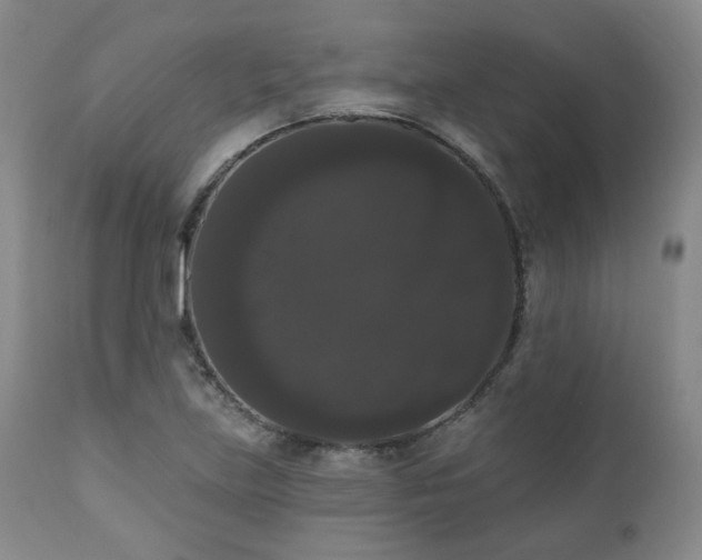 X0000111021219200906191644